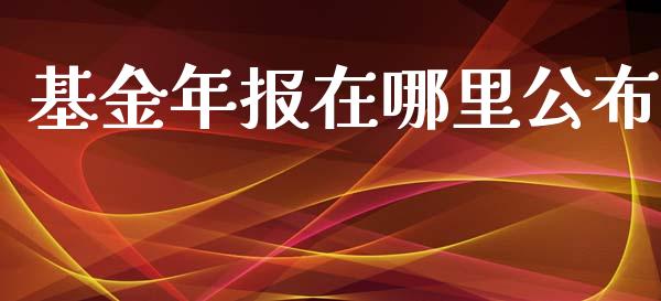 基金年报在哪里公布_https://m.jnlaobingbanjia.com_金融监管_第1张