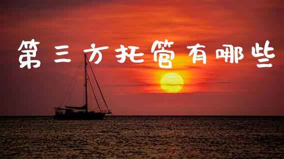 第三方托管有哪些_https://m.jnlaobingbanjia.com_基金市场_第1张