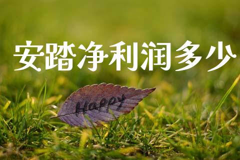 安踏净利润多少_https://m.jnlaobingbanjia.com_股市新闻_第1张