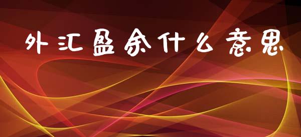 外汇盈余什么意思_https://m.jnlaobingbanjia.com_理财规划_第1张