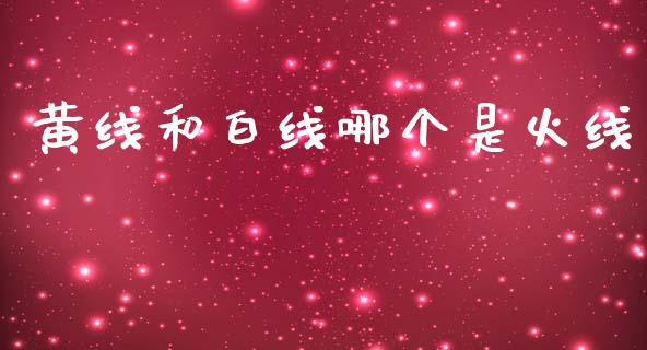 黄线和白线哪个是火线_https://m.jnlaobingbanjia.com_金融监管_第1张