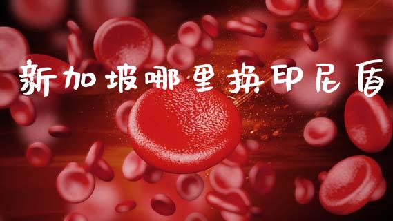 新加坡哪里换印尼盾_https://m.jnlaobingbanjia.com_股市新闻_第1张