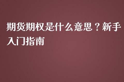 期货期权是什么意思？新手入门指南_https://m.jnlaobingbanjia.com_基金市场_第1张