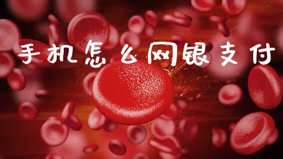 手机怎么网银支付_https://m.jnlaobingbanjia.com_理财规划_第1张