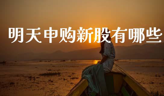 明天申购新股有哪些_https://m.jnlaobingbanjia.com_股市新闻_第1张