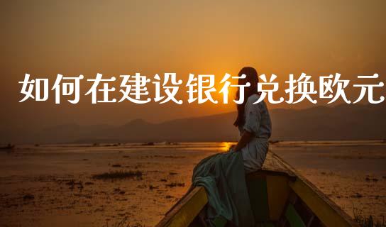 如何在建设银行兑换欧元_https://m.jnlaobingbanjia.com_理财规划_第1张