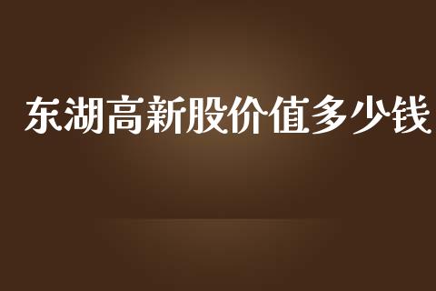 东湖高新股价值多少钱_https://m.jnlaobingbanjia.com_理财规划_第1张