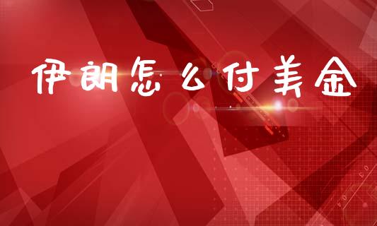 伊朗怎么付美金_https://m.jnlaobingbanjia.com_基金市场_第1张