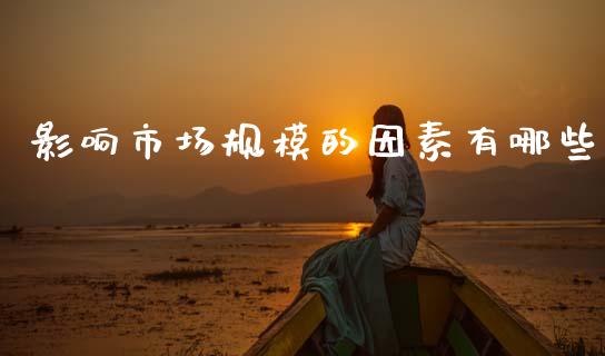 影响市场规模的因素有哪些_https://m.jnlaobingbanjia.com_金融监管_第1张