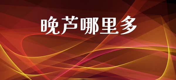 晚芦哪里多_https://m.jnlaobingbanjia.com_金融监管_第1张