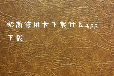 招商信用卡下载什么app下载_https://m.jnlaobingbanjia.com_理财规划_第1张