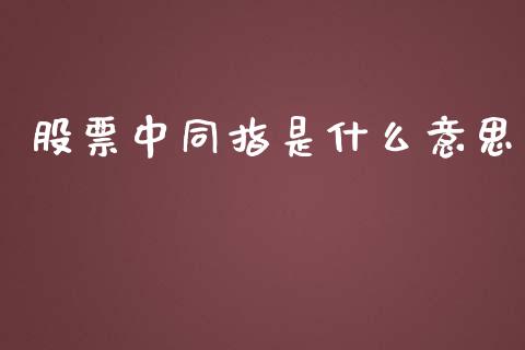 股票中同指是什么意思_https://m.jnlaobingbanjia.com_全球市场_第1张