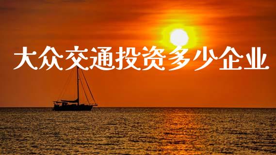 大众交通投资多少企业_https://m.jnlaobingbanjia.com_金融监管_第1张