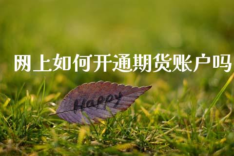网上如何开通期货账户吗_https://m.jnlaobingbanjia.com_金融监管_第1张