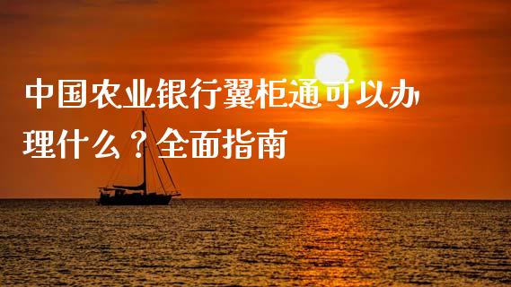 中国农业银行翼柜通可以办理什么？全面指南_https://m.jnlaobingbanjia.com_区块链_第1张