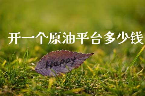 开一个原油平台多少钱_https://m.jnlaobingbanjia.com_基金市场_第1张