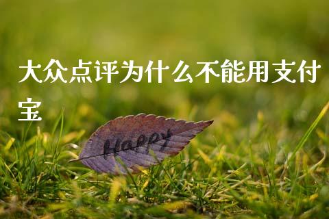 大众点评为什么不能用支付宝_https://m.jnlaobingbanjia.com_全球市场_第1张