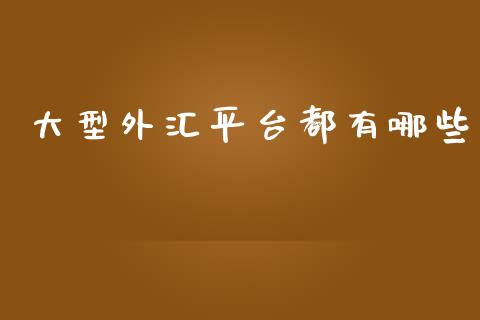 大型外汇平台都有哪些_https://m.jnlaobingbanjia.com_区块链_第1张