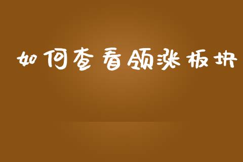 如何查看领涨板块_https://m.jnlaobingbanjia.com_股市新闻_第1张