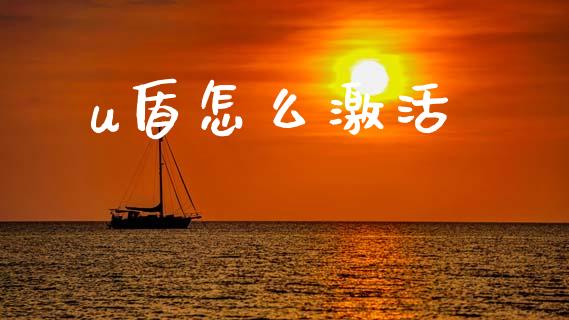 u盾怎么激活_https://m.jnlaobingbanjia.com_金融监管_第1张
