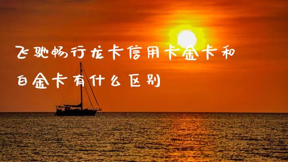 飞驰畅行龙卡信用卡金卡和白金卡有什么区别_https://m.jnlaobingbanjia.com_基金市场_第1张