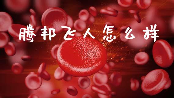 腾邦飞人怎么样_https://m.jnlaobingbanjia.com_基金市场_第1张