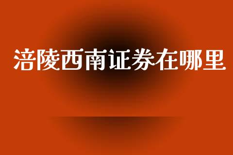 涪陵西南证券在哪里_https://m.jnlaobingbanjia.com_理财规划_第1张