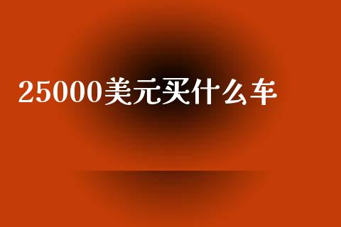 25000美元买什么车_https://m.jnlaobingbanjia.com_金融监管_第1张
