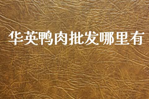 华英鸭肉批发哪里有_https://m.jnlaobingbanjia.com_基金市场_第1张