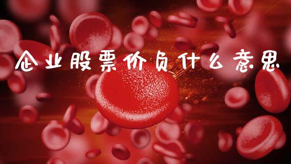 企业股票价负什么意思_https://m.jnlaobingbanjia.com_股市新闻_第1张