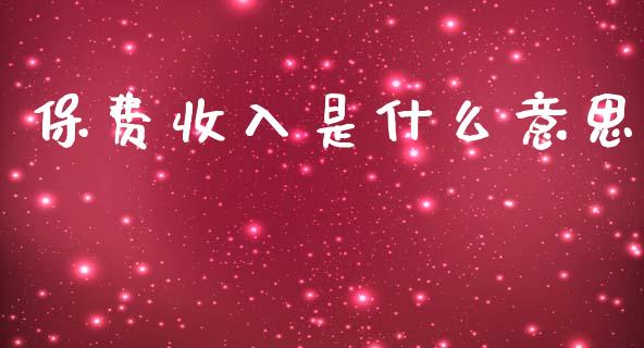 保费收入是什么意思_https://m.jnlaobingbanjia.com_全球市场_第1张