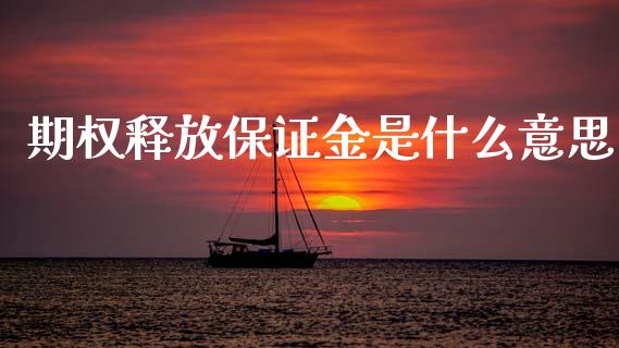 期权释放保证金是什么意思_https://m.jnlaobingbanjia.com_理财规划_第1张