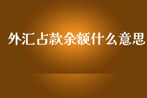 外汇占款余额什么意思_https://m.jnlaobingbanjia.com_金融监管_第1张