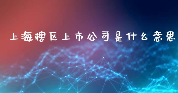 上海辖区上市公司是什么意思_https://m.jnlaobingbanjia.com_区块链_第1张