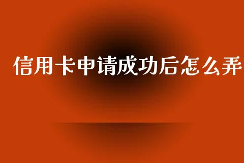 信用卡申请成功后怎么弄_https://m.jnlaobingbanjia.com_全球市场_第1张