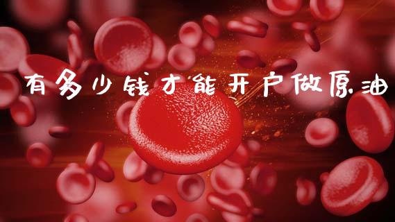 有多少钱才能开户做原油_https://m.jnlaobingbanjia.com_理财规划_第1张