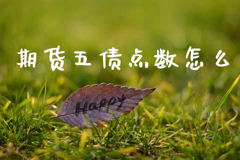 期货五债点数怎么_https://m.jnlaobingbanjia.com_金融监管_第1张