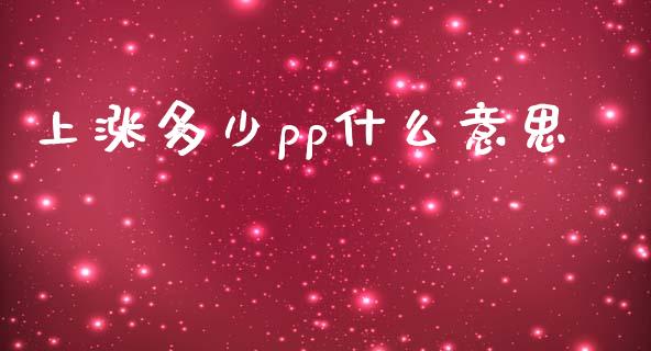 上涨多少pp什么意思_https://m.jnlaobingbanjia.com_基金市场_第1张