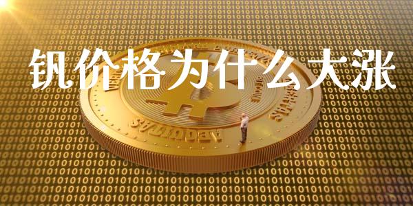 钒价格为什么大涨_https://m.jnlaobingbanjia.com_基金市场_第1张