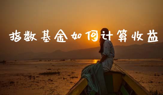 指数基金如何计算收益_https://m.jnlaobingbanjia.com_基金市场_第1张