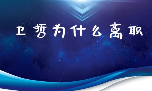 卫哲为什么离职_https://m.jnlaobingbanjia.com_基金市场_第1张