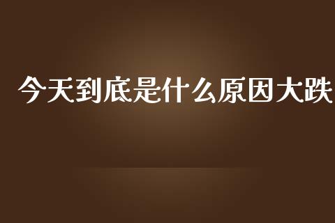 今天到底是什么原因大跌_https://m.jnlaobingbanjia.com_基金市场_第1张