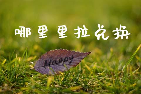 哪里里拉兑换_https://m.jnlaobingbanjia.com_基金市场_第1张
