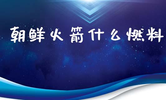 朝鲜火箭什么燃料_https://m.jnlaobingbanjia.com_金融监管_第1张