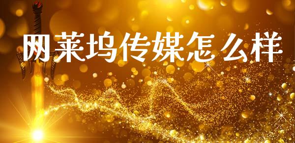 网莱坞传媒怎么样_https://m.jnlaobingbanjia.com_股市新闻_第1张