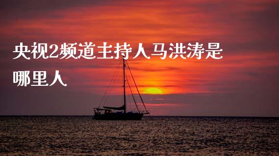 央视2频道主持人马洪涛是哪里人_https://m.jnlaobingbanjia.com_股市新闻_第1张