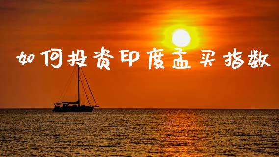 如何投资印度孟买指数_https://m.jnlaobingbanjia.com_股市新闻_第1张