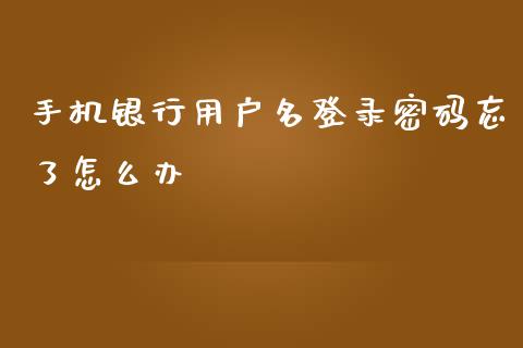 手机银行用户名登录密码忘了怎么办_https://m.jnlaobingbanjia.com_全球市场_第1张