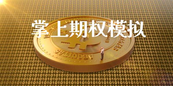 掌上期权模拟_https://m.jnlaobingbanjia.com_基金市场_第1张