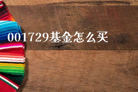 001729基金怎么买_https://m.jnlaobingbanjia.com_理财规划_第1张